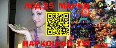 СК Новодвинск