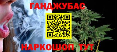 крисы Новозыбков