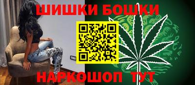 крисы Новозыбков