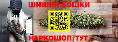 СК Новодвинск