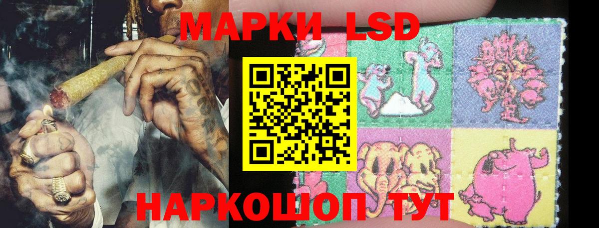 Марки NBOMe 1,8мг  Марки NBOMe 1,8мг  Асино  где купить наркотик  Вход с VPN 